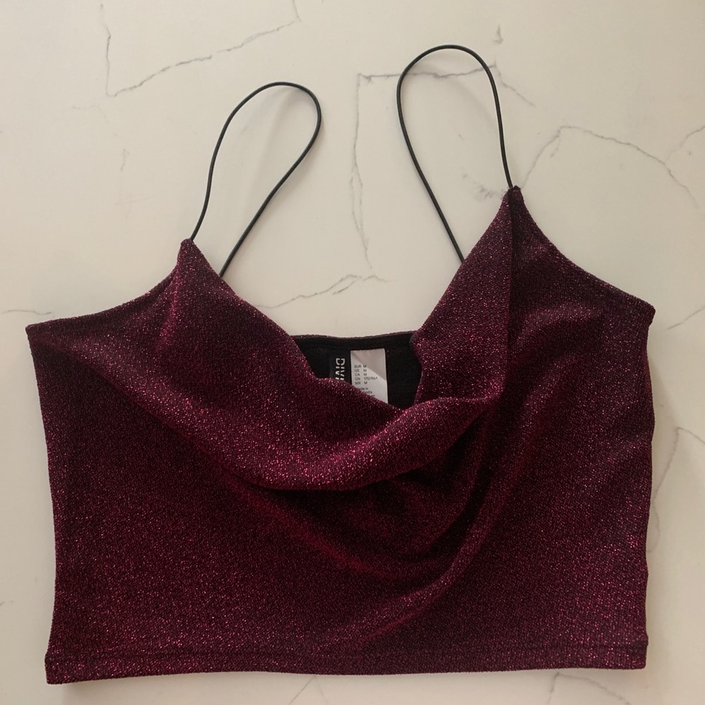Sparkly Crop Top